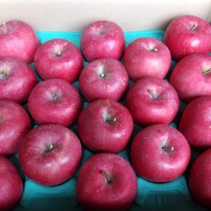 完熟りんごほのか「早生ふじ」〈家庭用Ｂ〉5kg