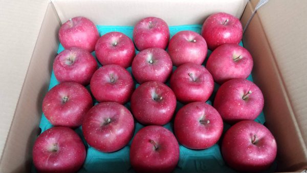 完熟りんごほのか「早生ふじ」〈家庭用Ｂ〉5kg