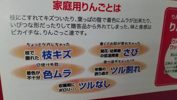 【売り切れ次第終了】ふぞろいの林檎たち - 画像 (4)